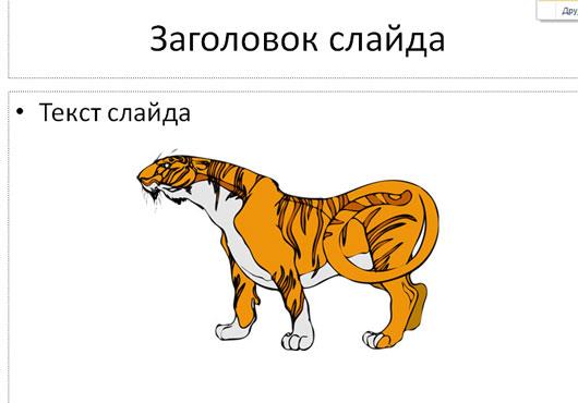 Тигр, смотрящий в левую сторону